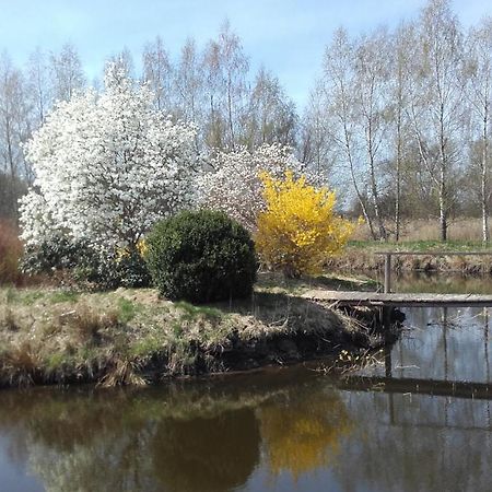 Marka Pokoje Goscinne Mielno  Buitenkant foto