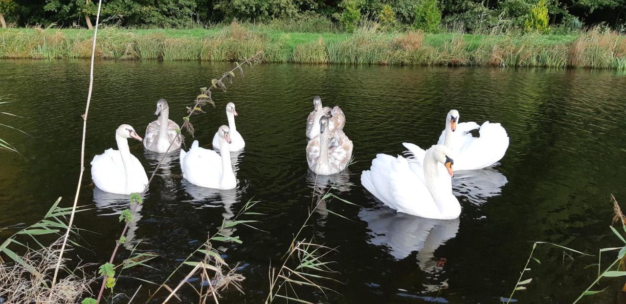Marka Pokoje Goscinne Mielno  Buitenkant foto