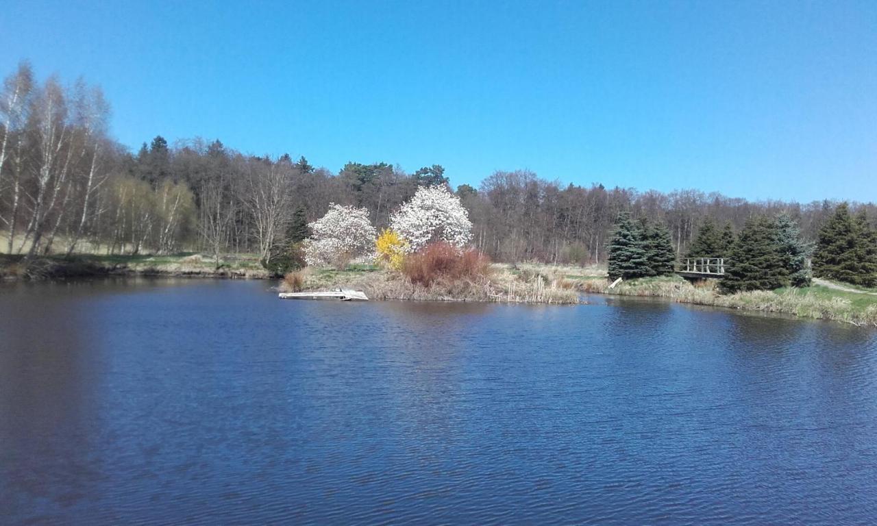 Marka Pokoje Goscinne Mielno  Buitenkant foto