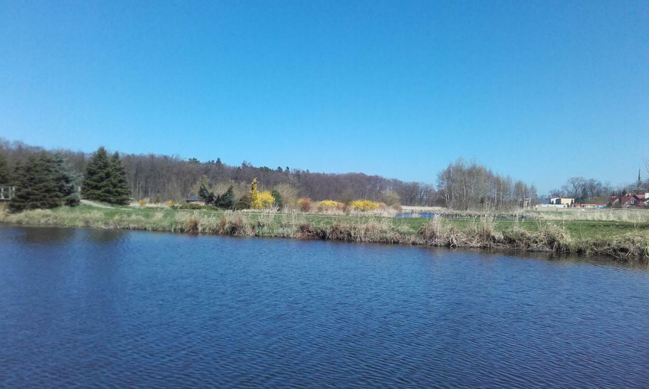 Marka Pokoje Goscinne Mielno  Buitenkant foto