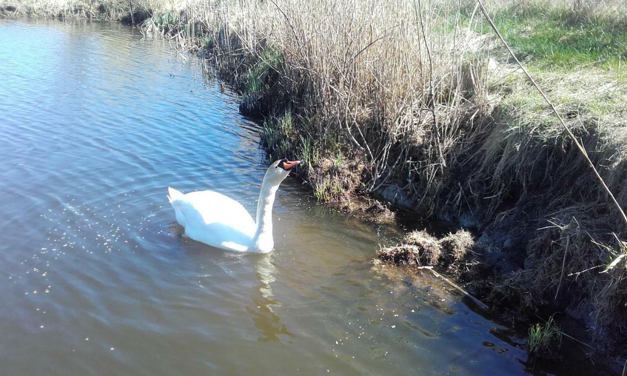 Marka Pokoje Goscinne Mielno  Buitenkant foto